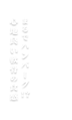 まるでハンバーグ！？ 心地良い軟骨の食感